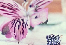 Значение шармов Пандора