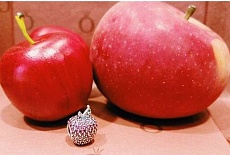 Значение шармов Пандора